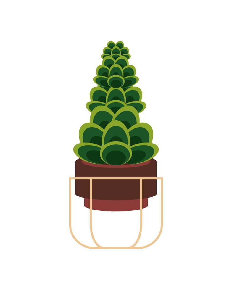 potted succulent plant vector