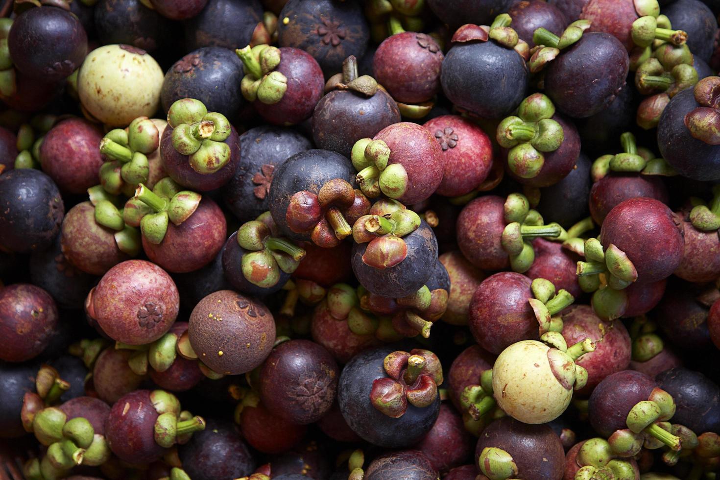 many mangosteen in market photo
