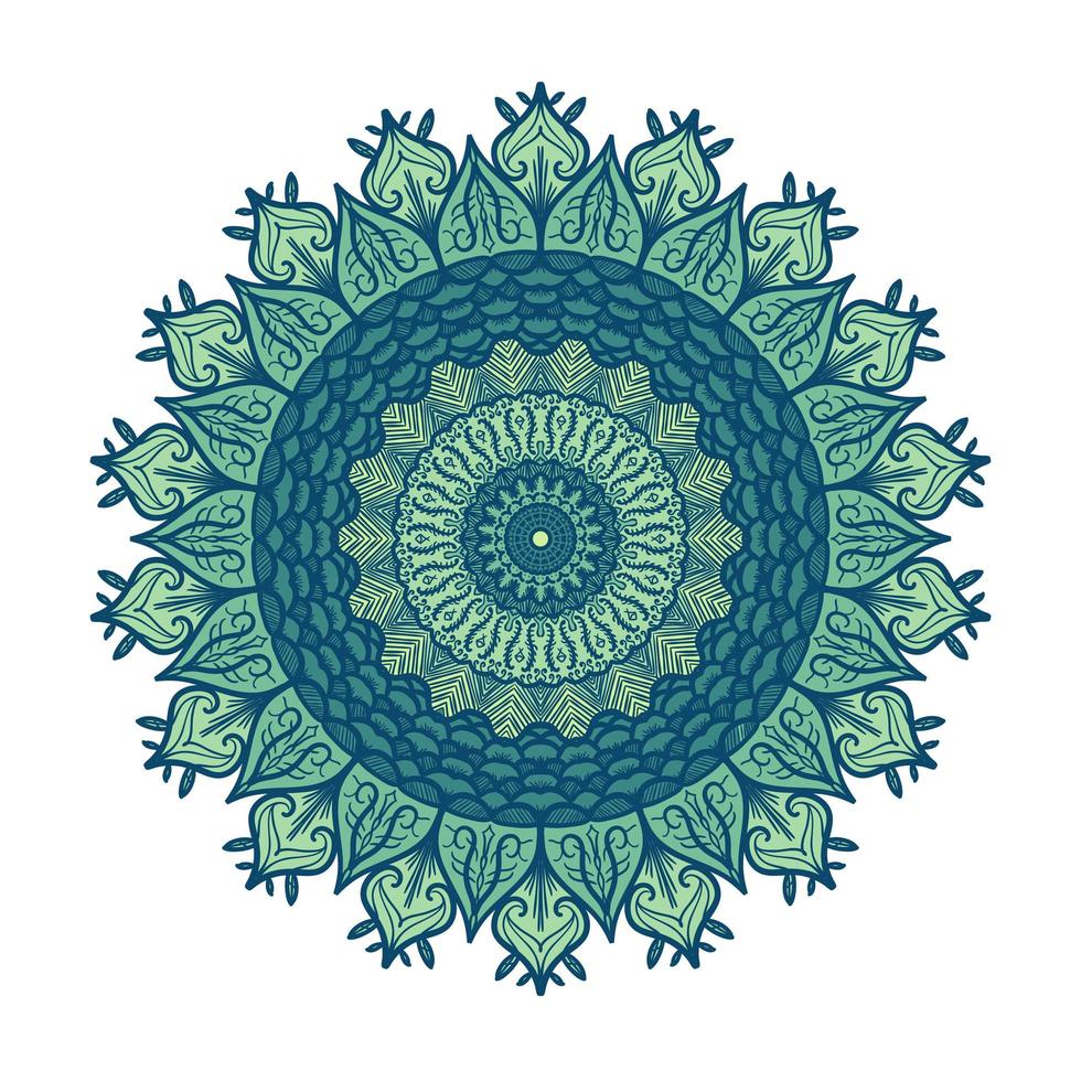 Mandala Line Template vector