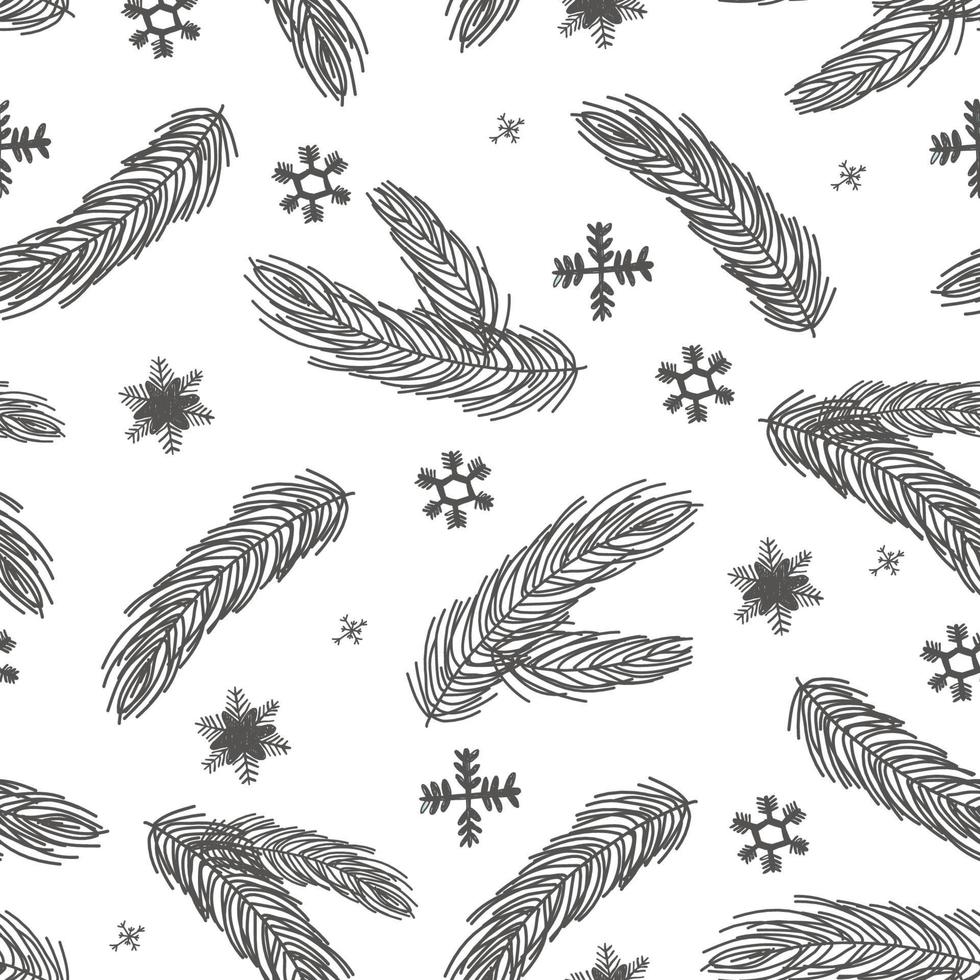 Fir tree branch seamless pattern, winter background.  christmas holly, spruce branches vector