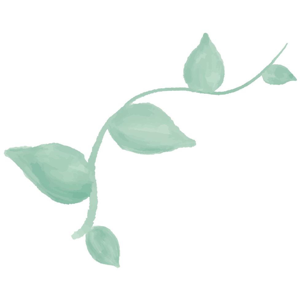 green branch with leaves. Watercolor Leaves Green vector