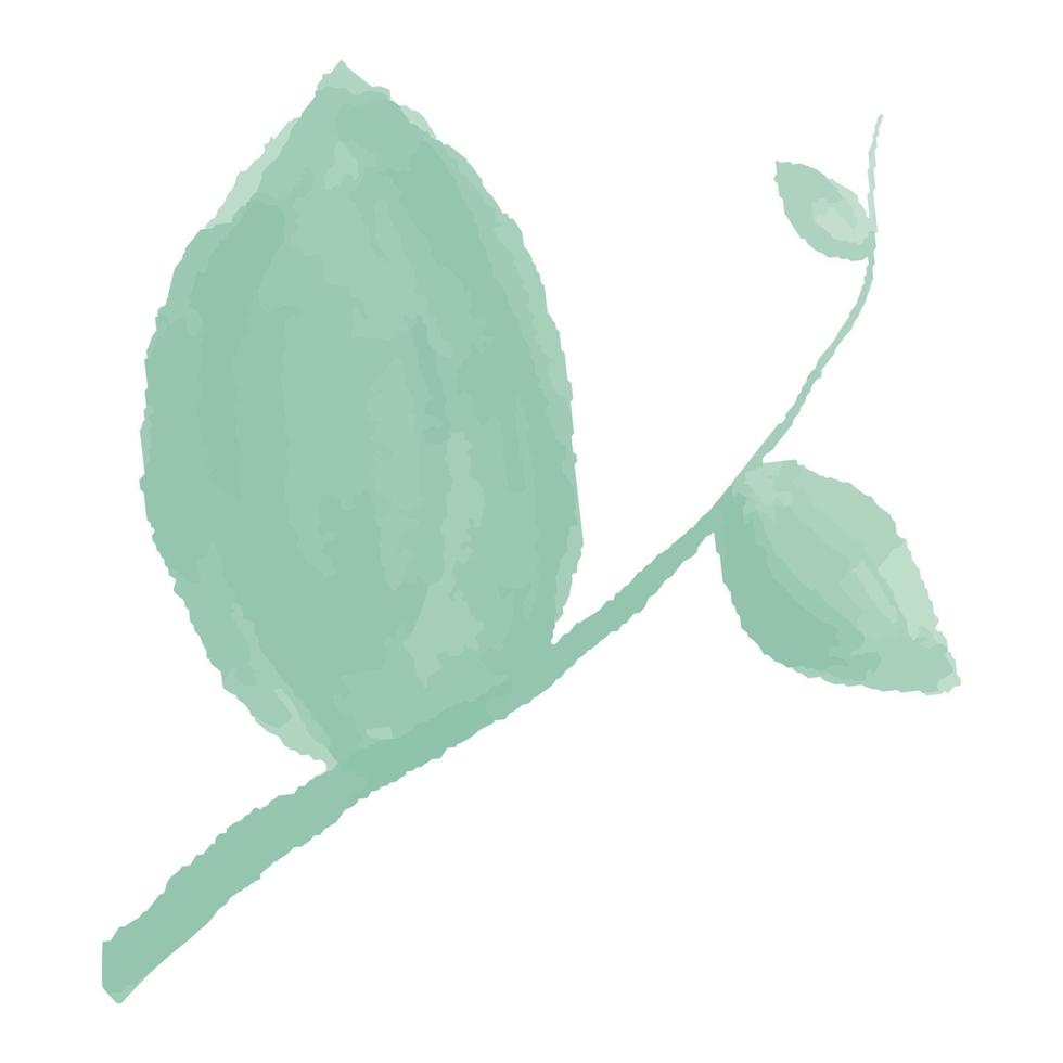 green branch with leaves. Watercolor Leaves Green vector