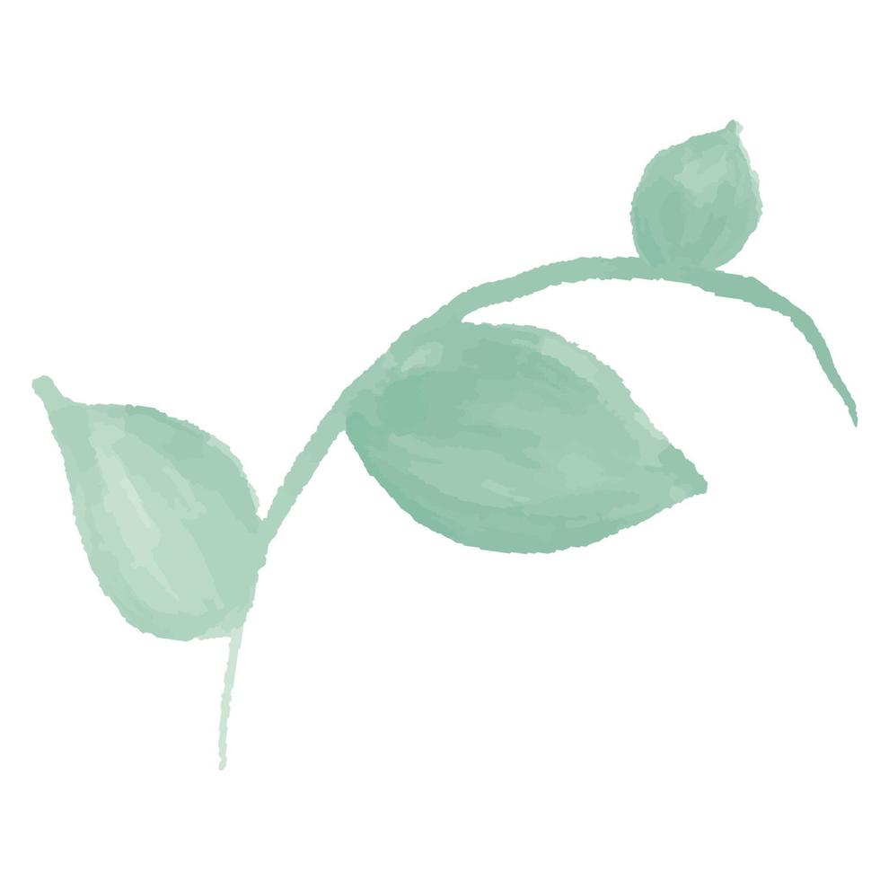 rama verde con hojas. acuarela hojas verdes vector
