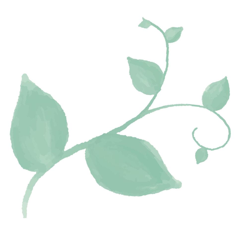 green branch with leaves. Watercolor Leaves Green vector