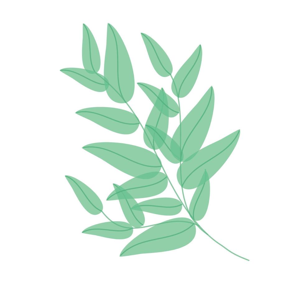 green branch with leaves. Watercolor Leaves Green vector