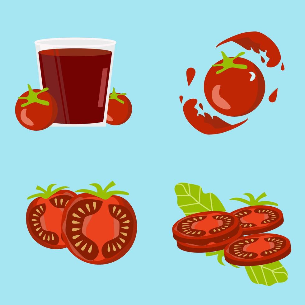 collection of Tomato suitable for  vegetable or juice illustration vector