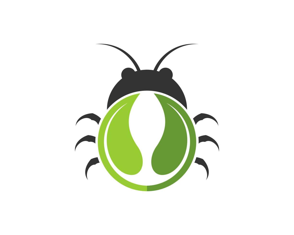 Lady bug with nature circle leaf vector