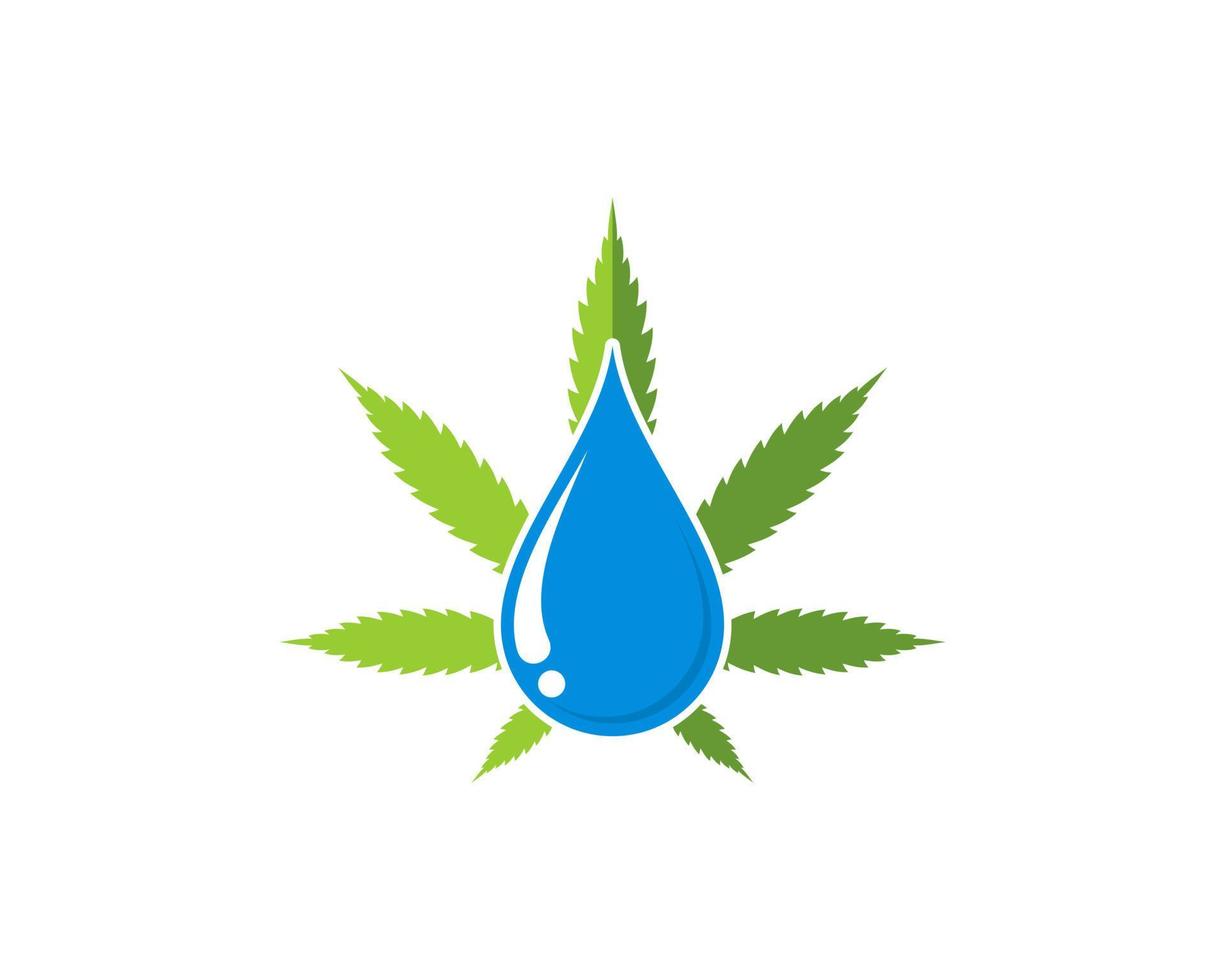 green cannabis leaf with blue water drop inside vector