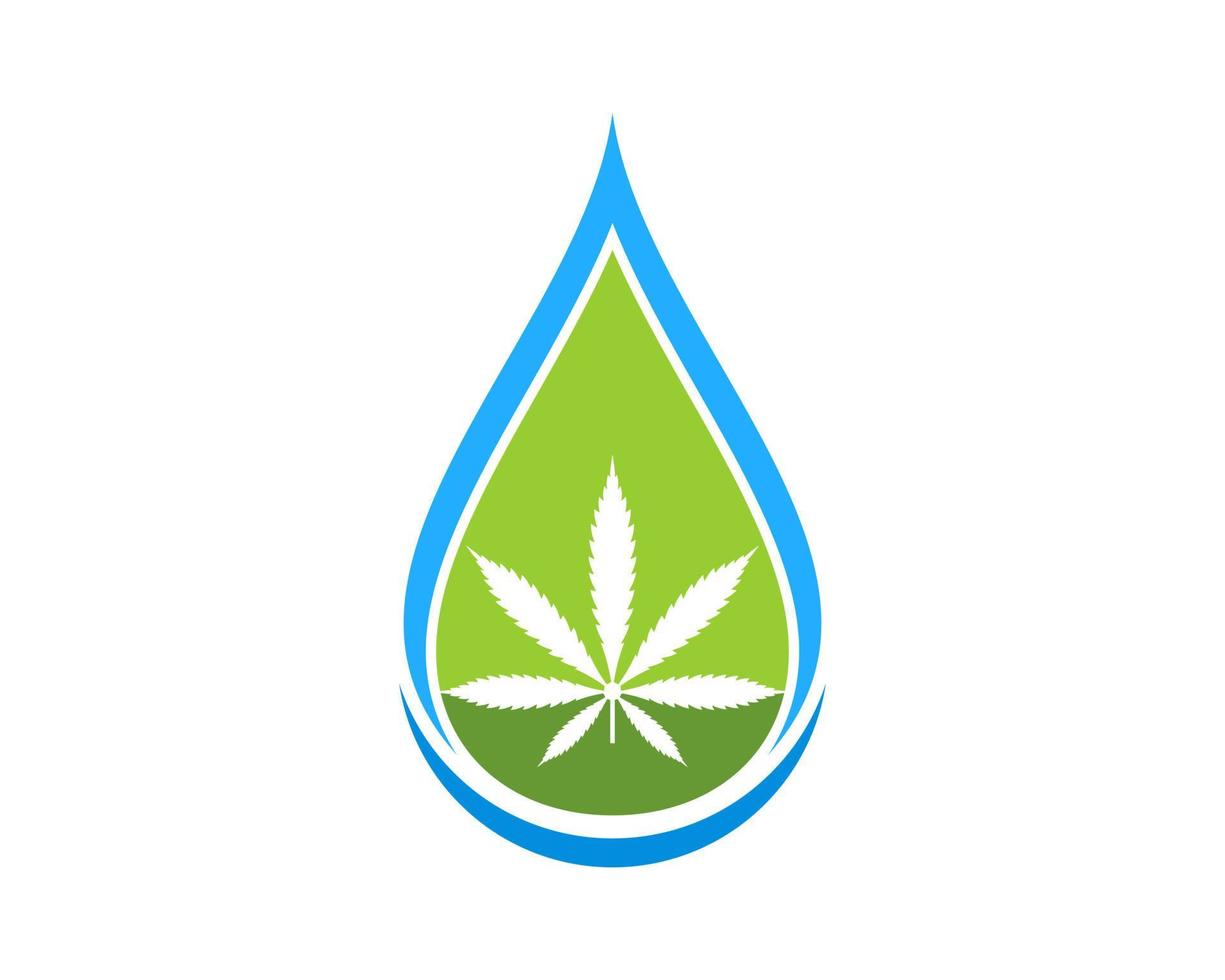 Abstract water drop with cannabis leaf inside vector