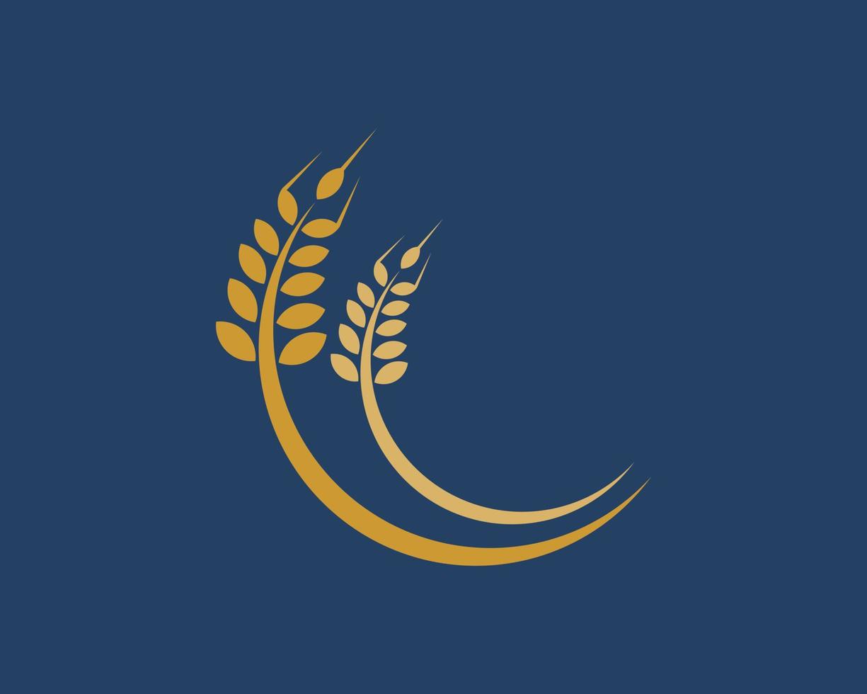 Abstract and simple farm wheat in gold colors vector