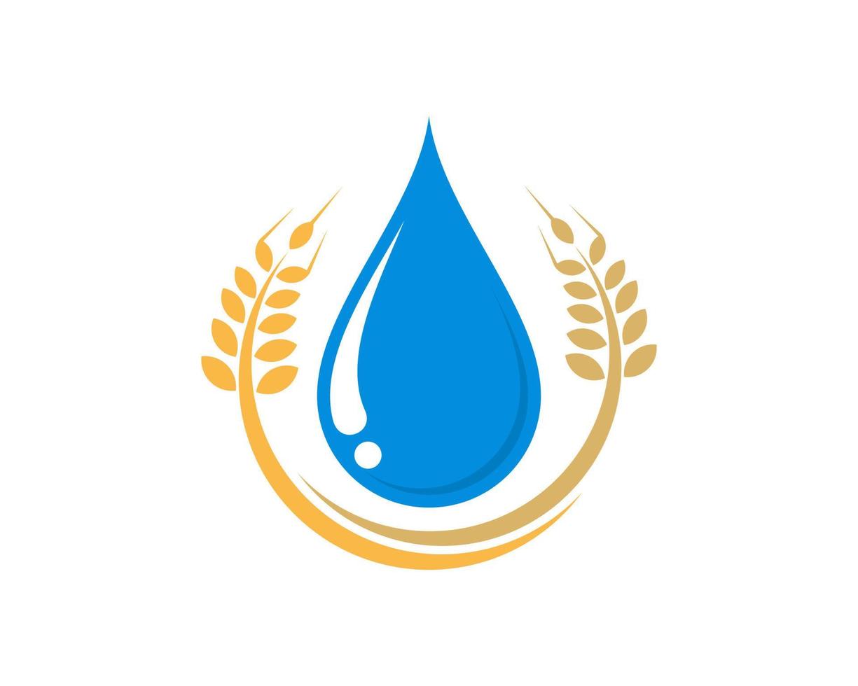 Circular wheat with water drop inside vector