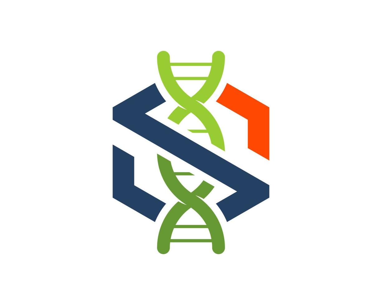 hexagonal shape with S letter initial and DNA symbol inside vector