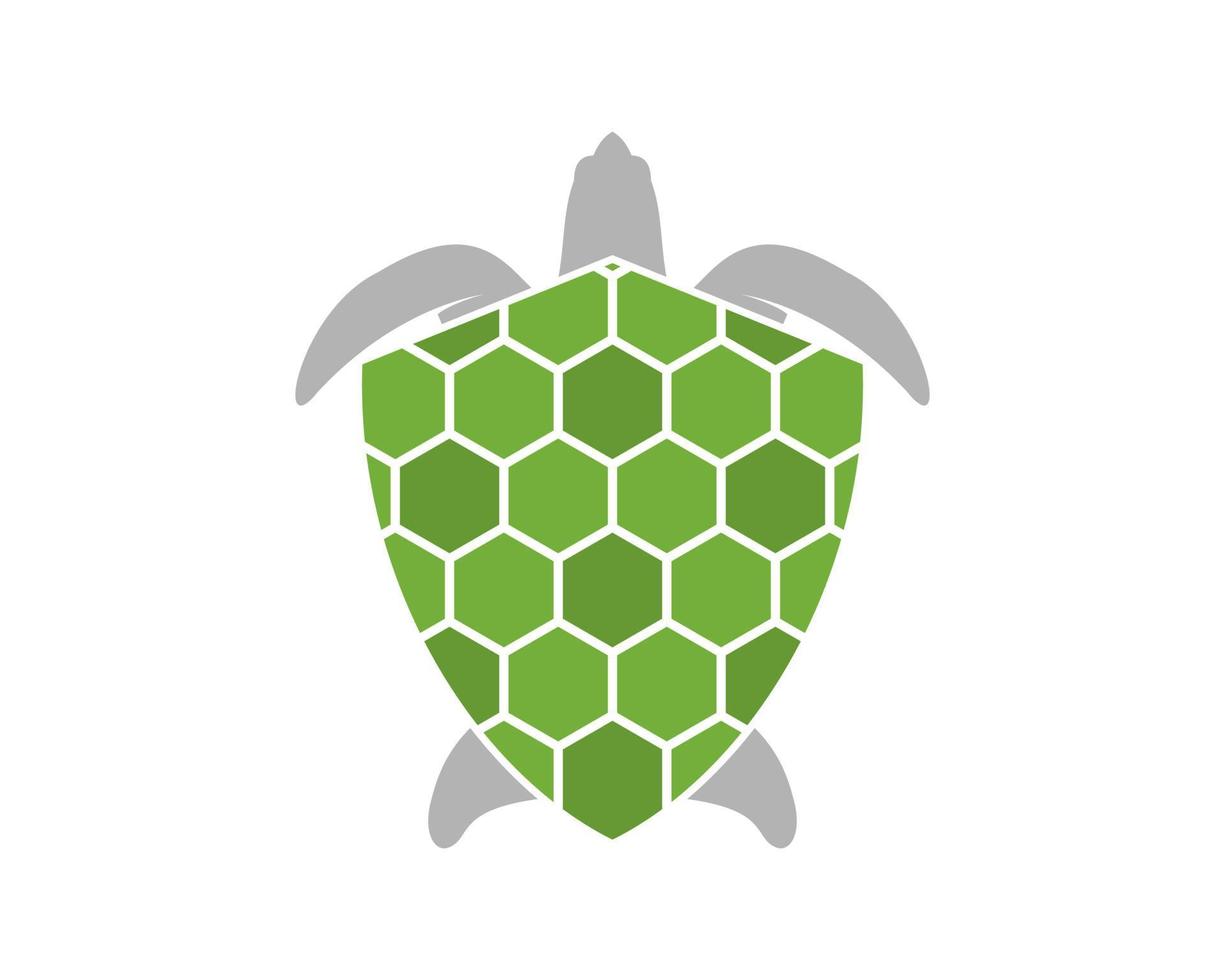 Turtle shell with shield protection vector