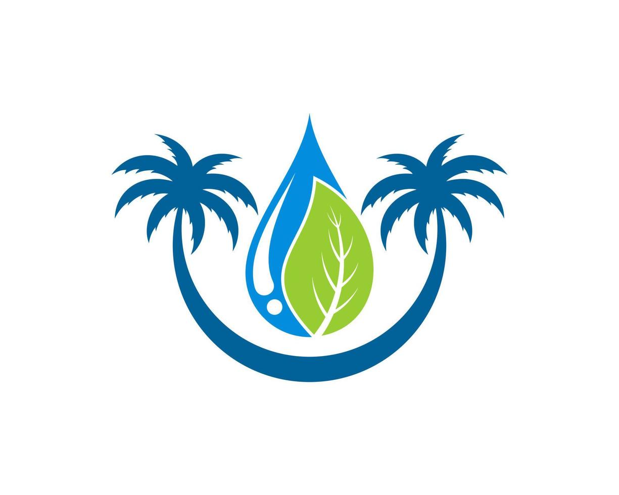 Circular palm tree with water drop and nature leaf vector