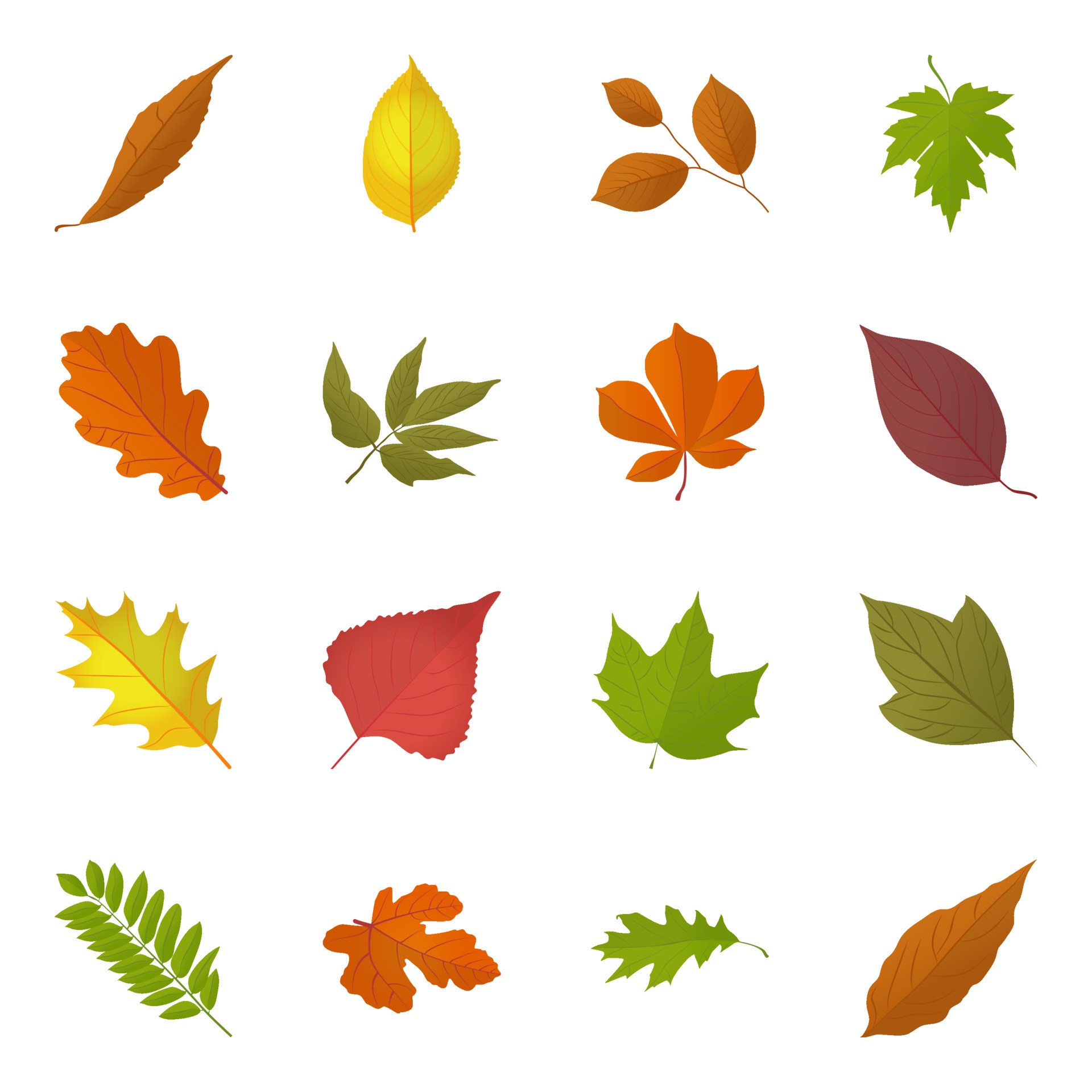 Leaves In Fall 4821375 Vector Art At Vecteezy leaves-in-fall-4821375-vector-art-at-vecteezy