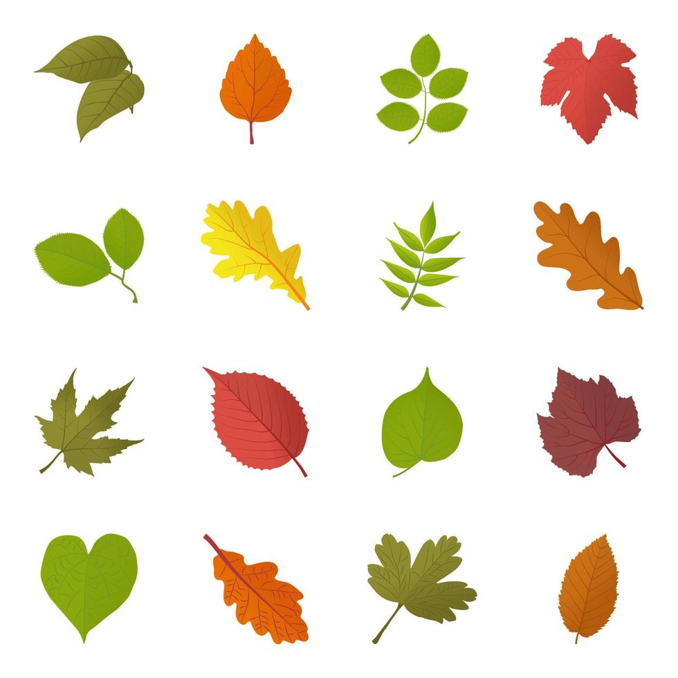Autumn Leaves Concepts vector