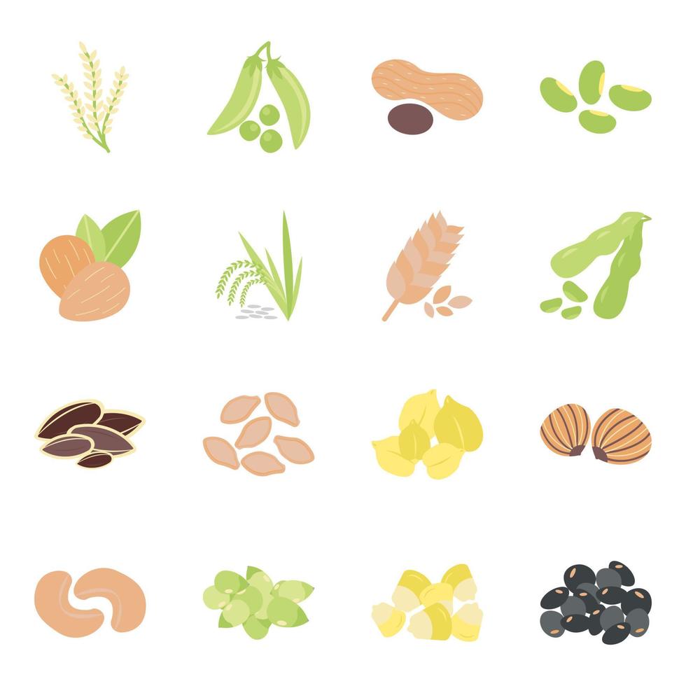 Grain And Nuts vector