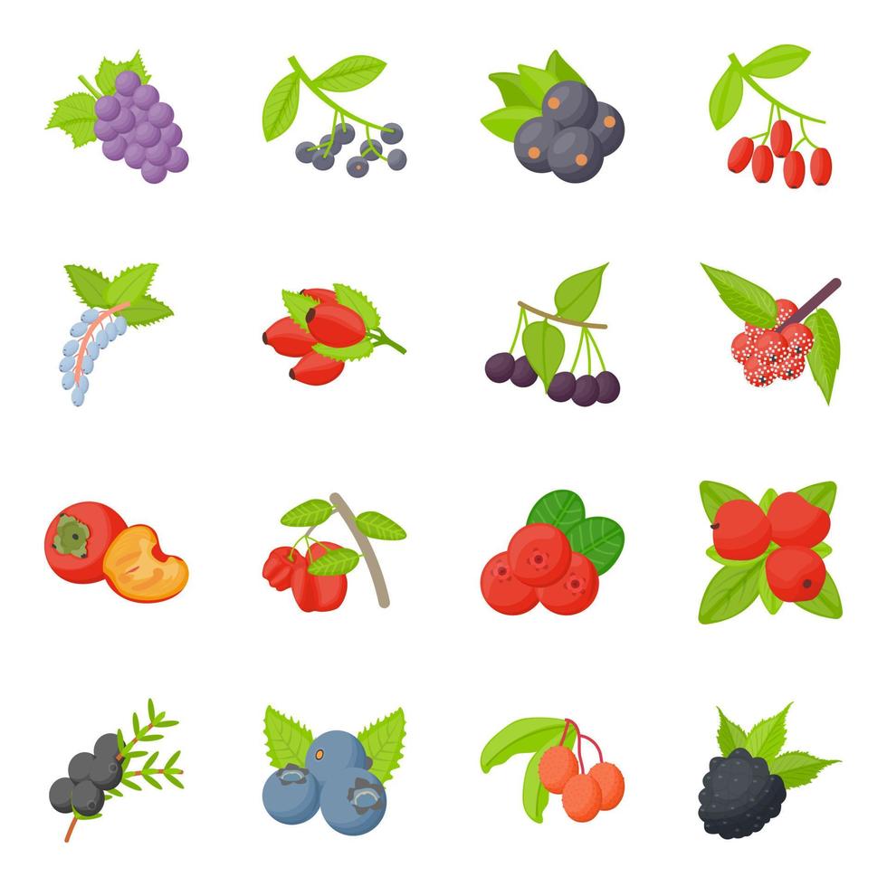 Berry Fruits Concepts vector