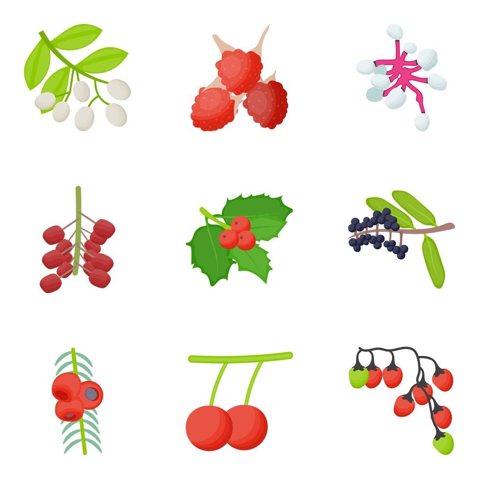 Collection Of Berry vector