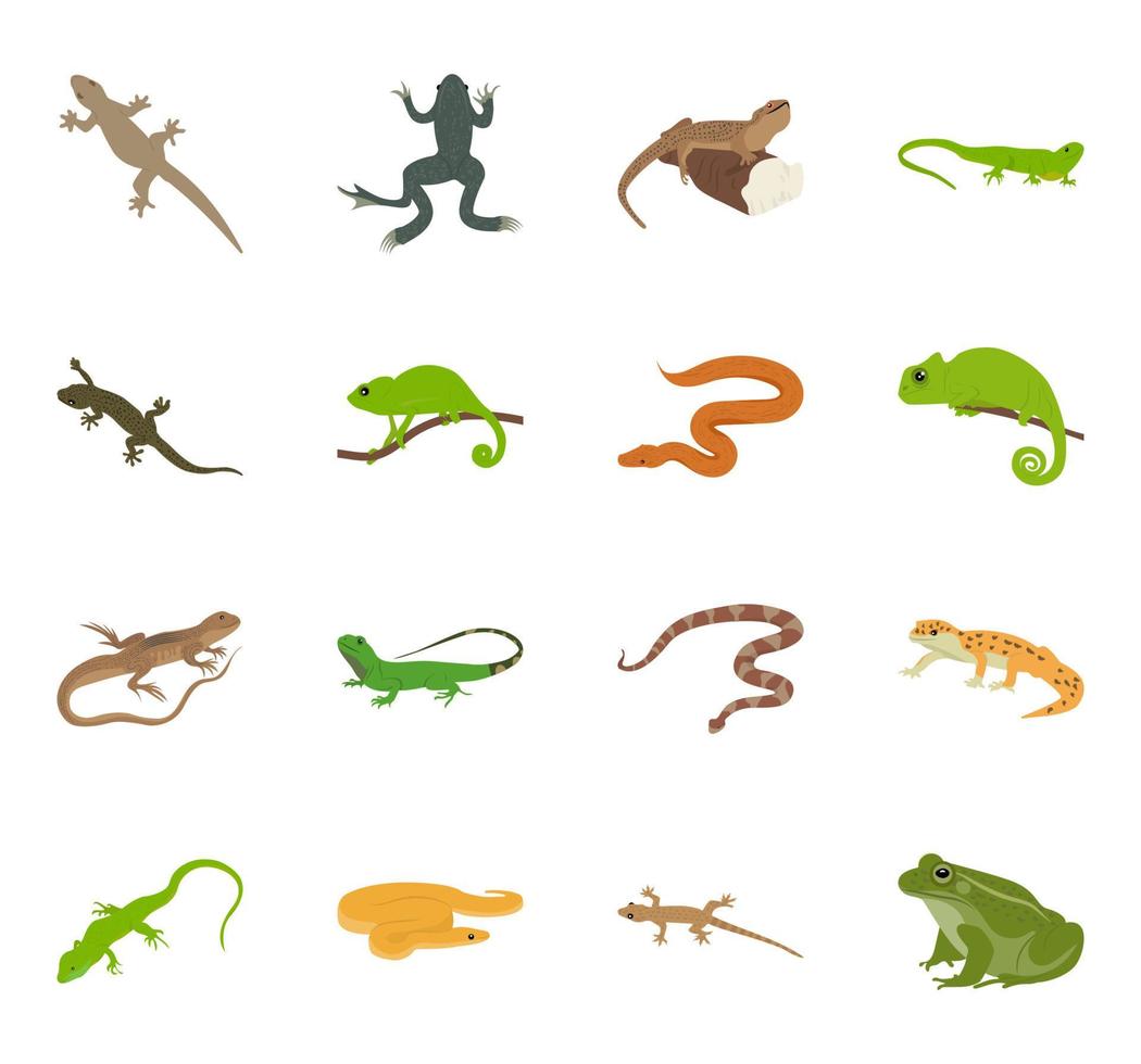 Trendy Amphibians Concepts vector