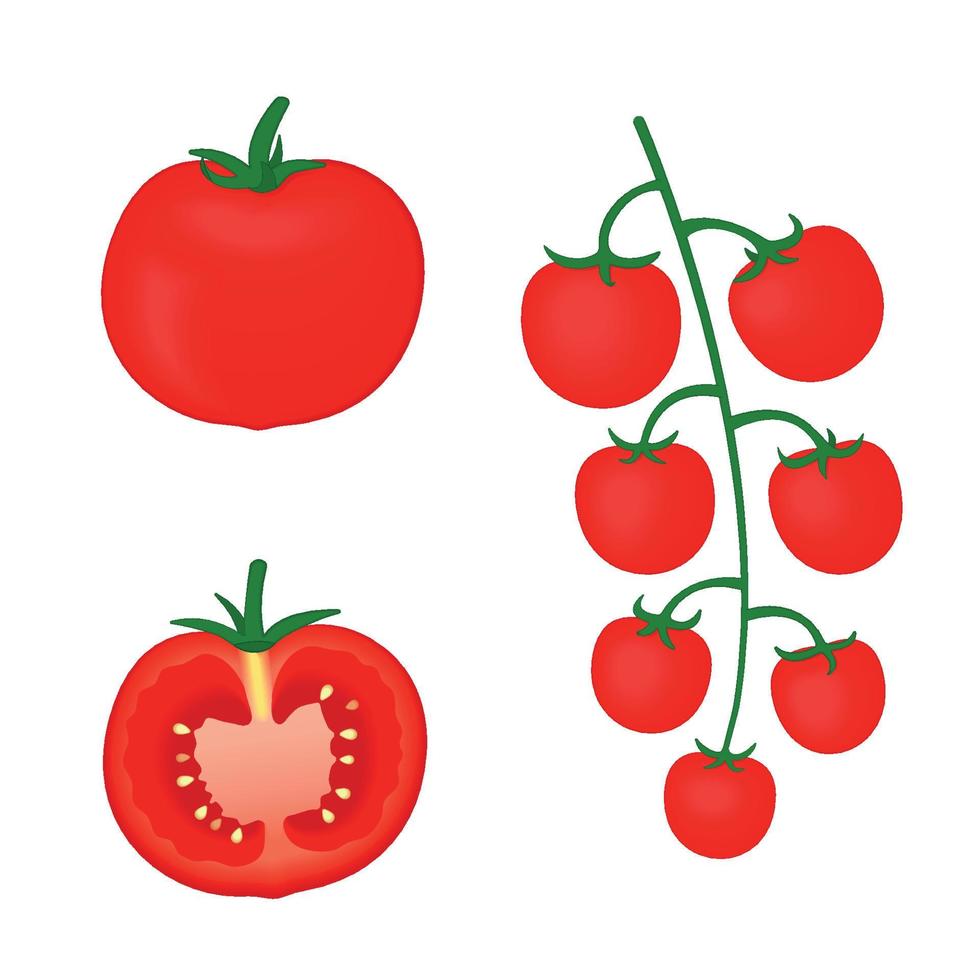 Set of 3d volumetric vector illustrations of ripe red tomatoes isolated on white background. Whole and half tomato, side view, bunch of cherry tomatoes