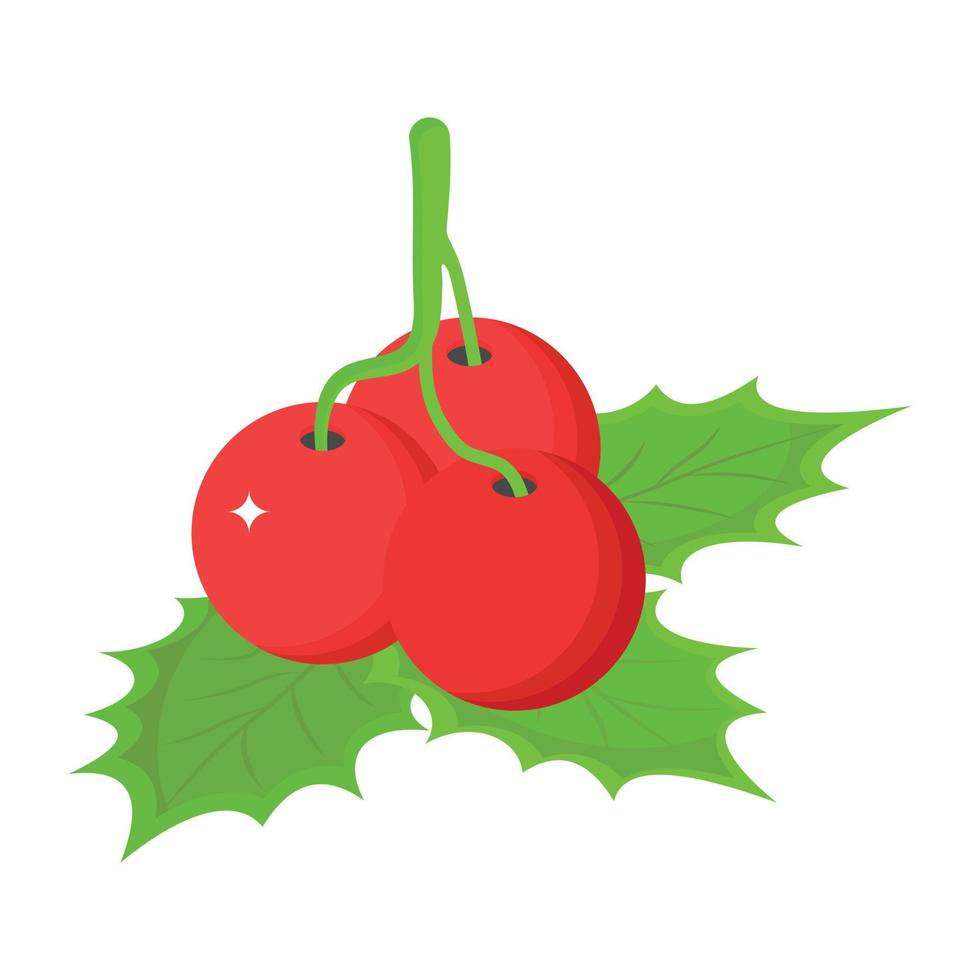 Christmas berries Mistletoe vector