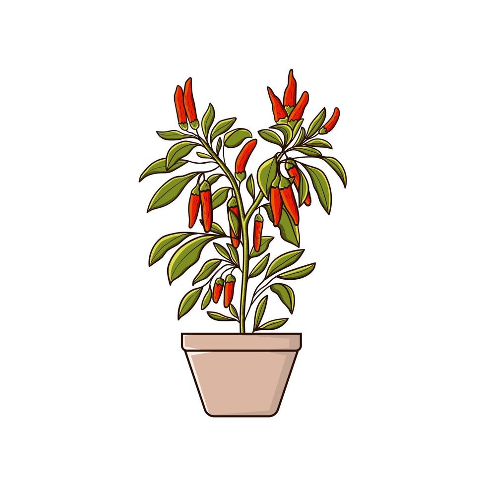 Hot chili pepper plant on the pot vector
