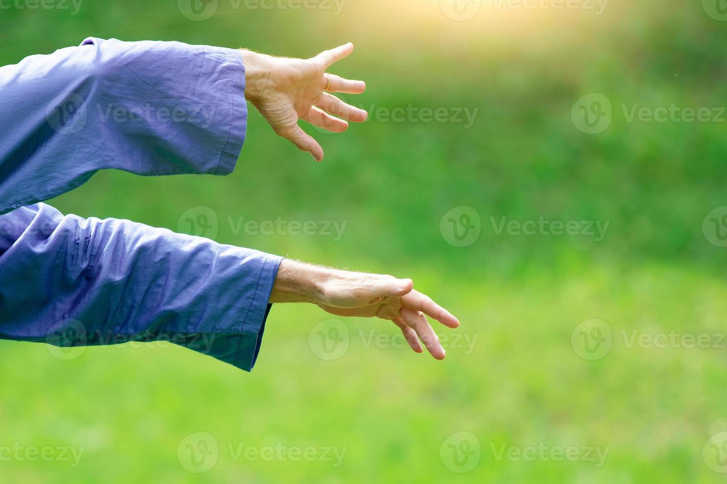 Hands in the Chinese martial art Tai Chi Chuan photo