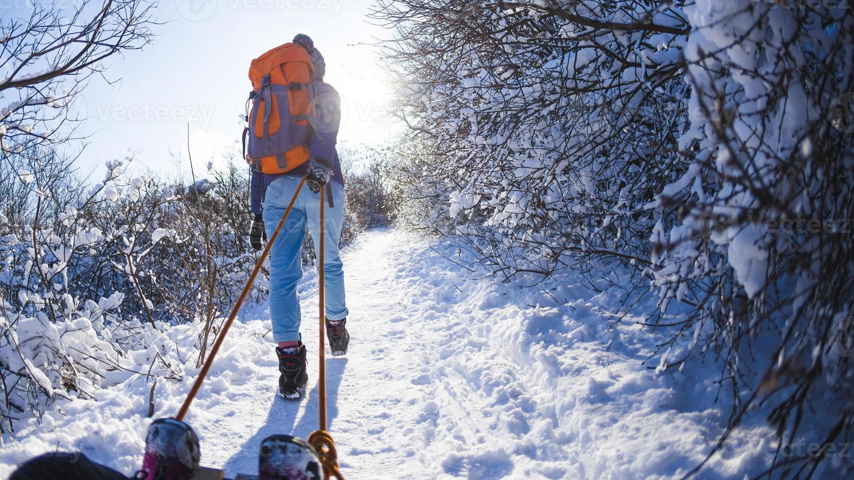 A woman pulls a sled with a child. photo