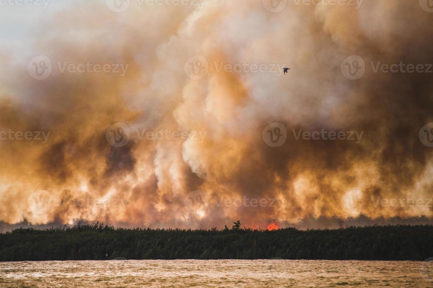 Large clouds of smoke, fire in nature. photo