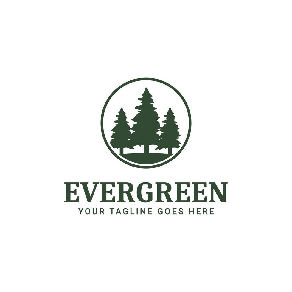 Evergreen Pine Tree Logo Design Vector