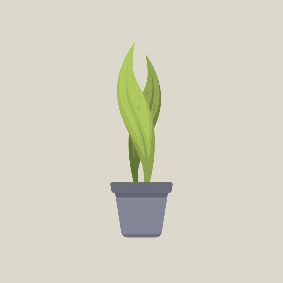 tropical plant illustration flat minimalist vector