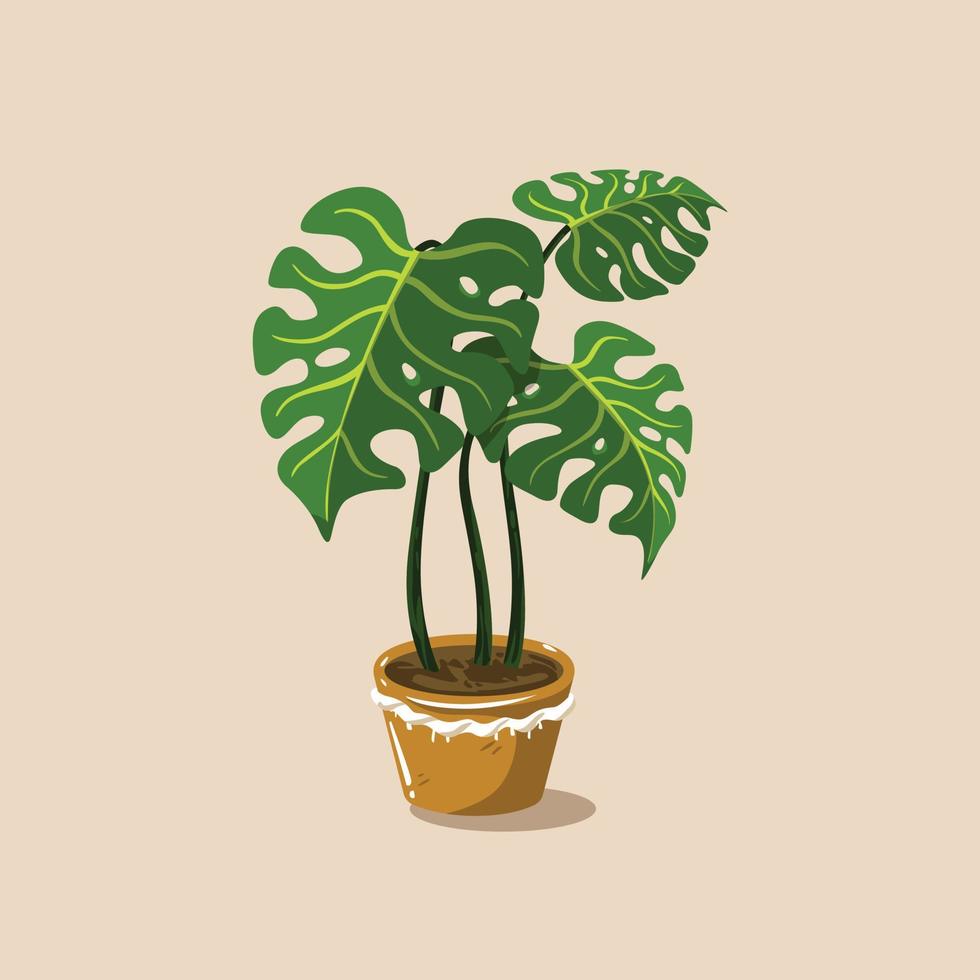tropical plant illustration flat minimalist vector