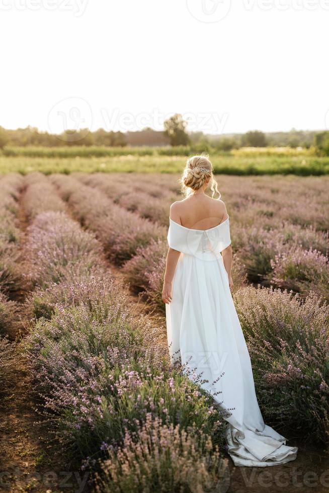 the bride in a white dress  on the lavender field photo