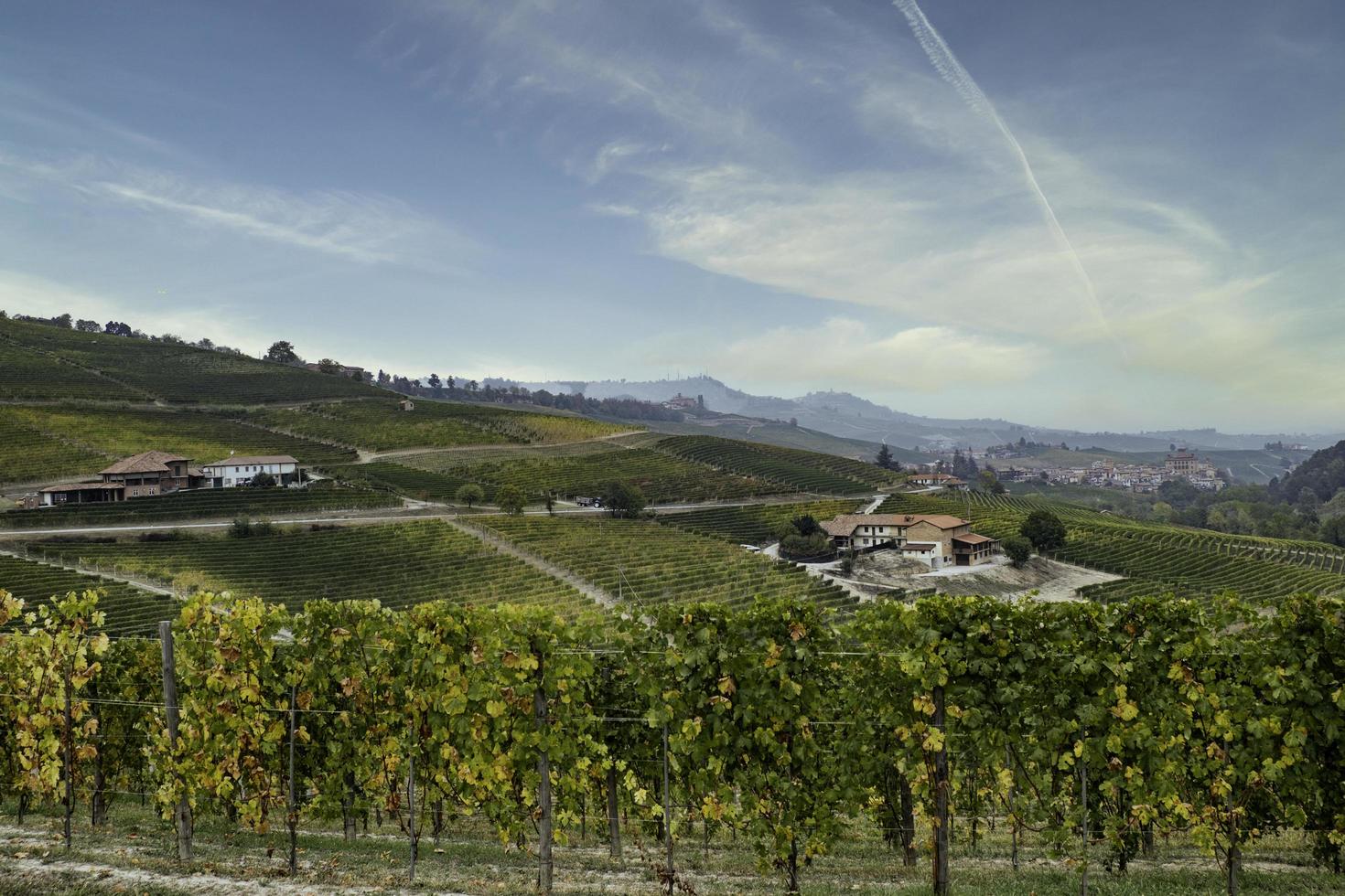 The vineyards in the Piedmontese Langhe in autumn photo