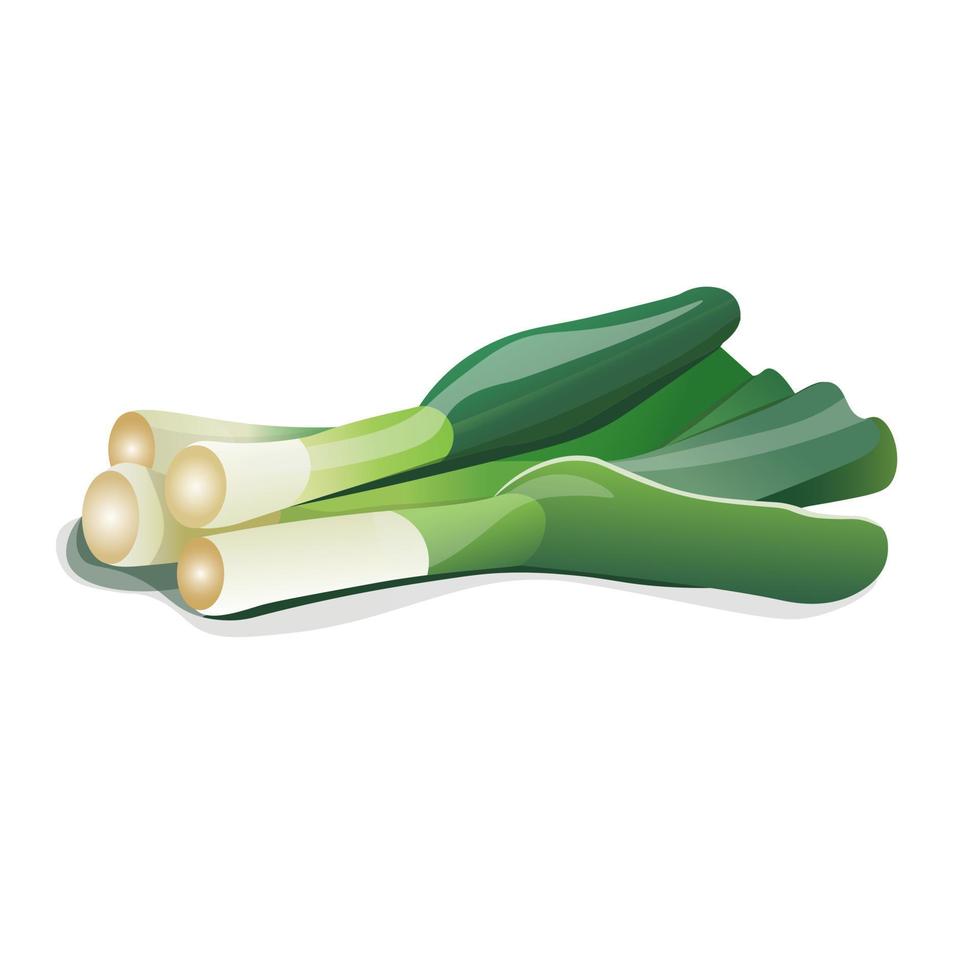 leek vector graphics, with gratings