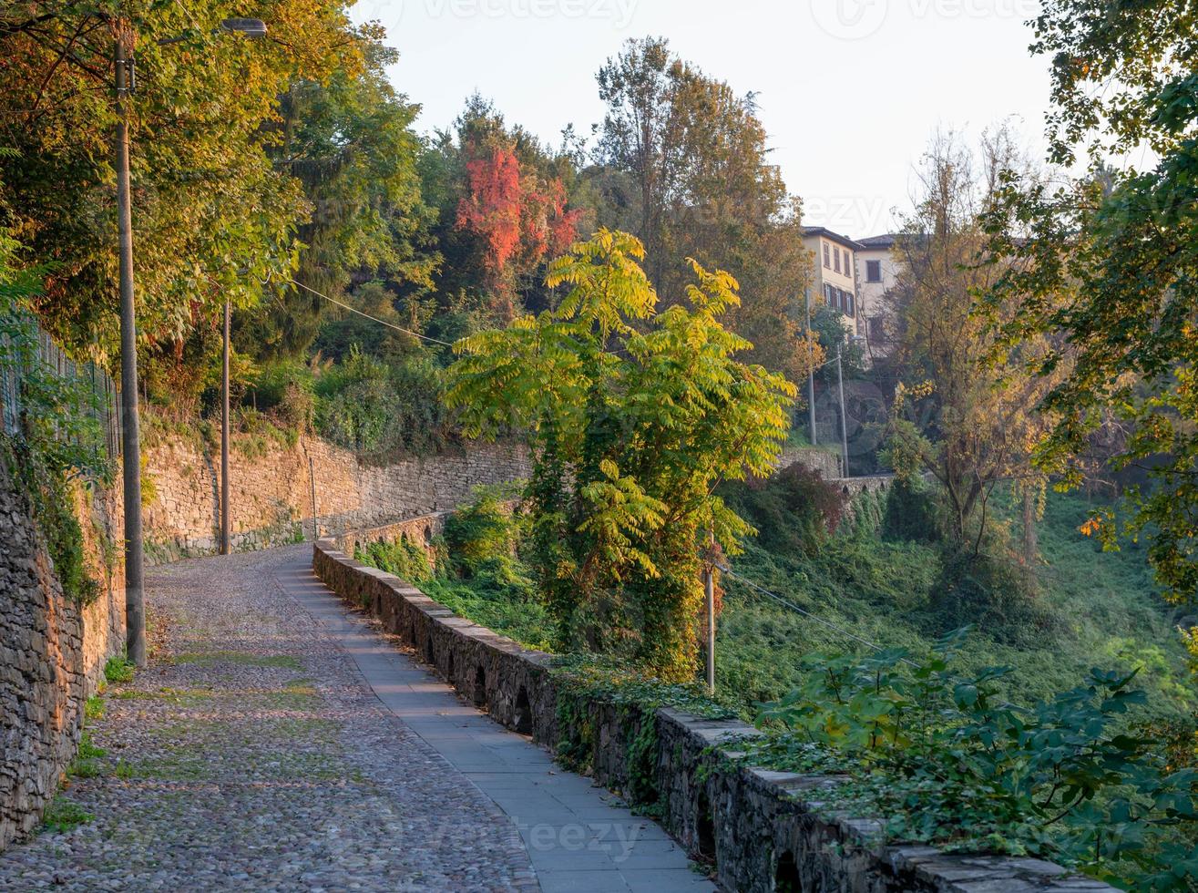 Pedestrian street in photo