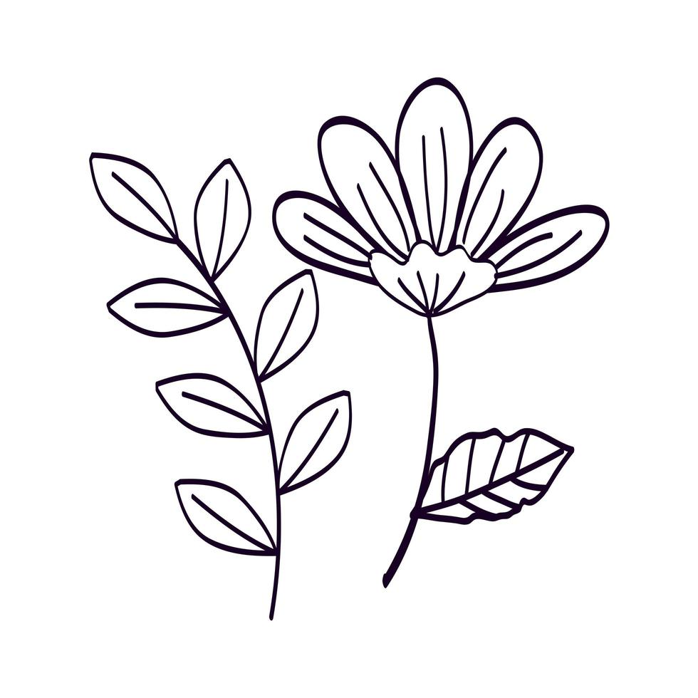 cute flower with branch and leafs line style icon vector
