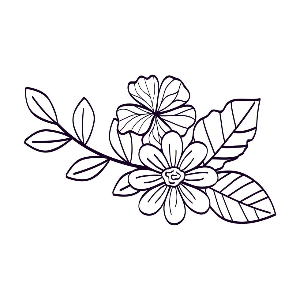 cute flowers with branches and leafs line style icon vector