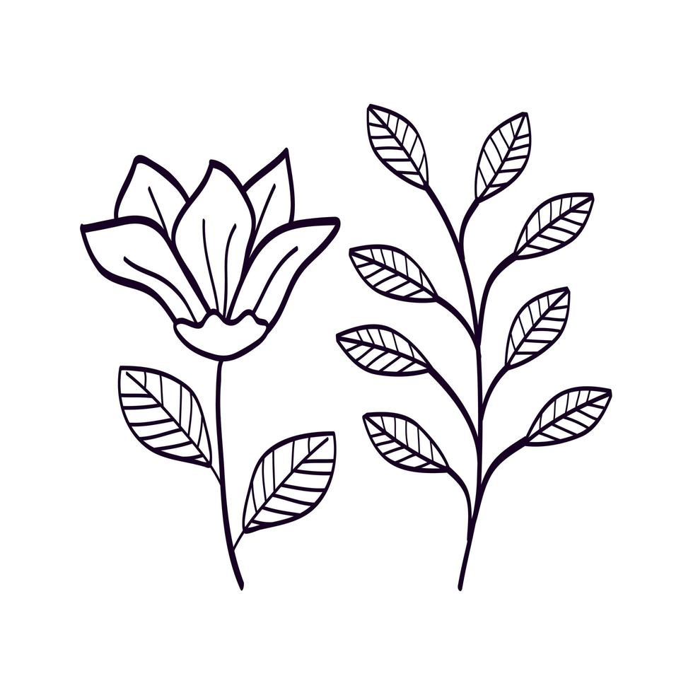 linda flor con icono de estilo de línea de rama y hojas vector