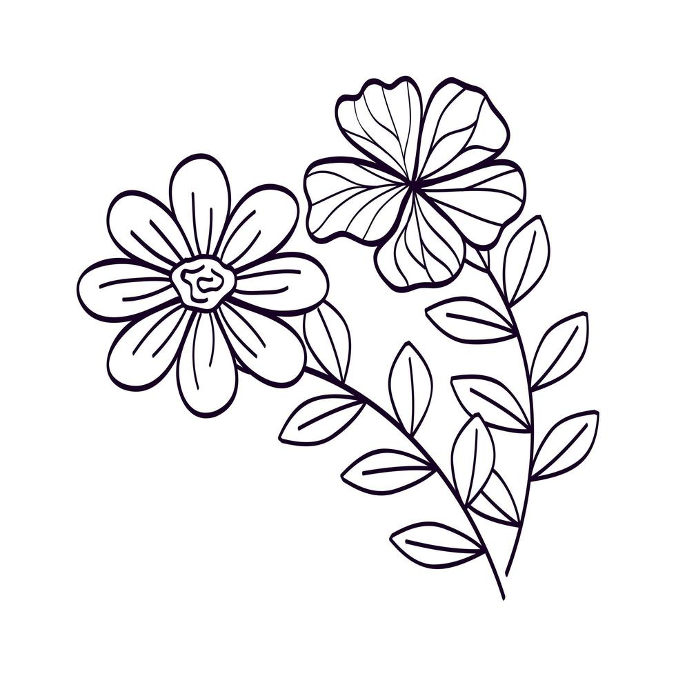 cute flowers with branches and leafs line style icon vector