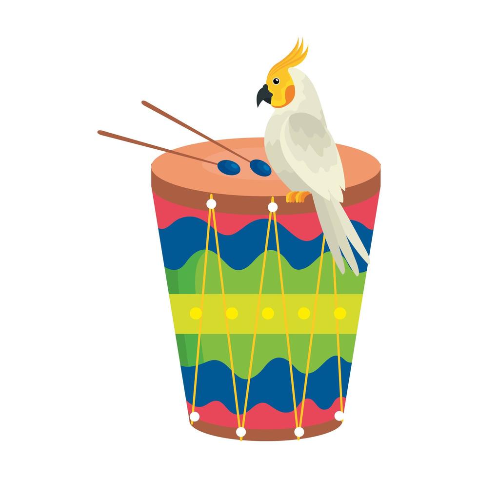 drum with parrot bird isolated icon vector