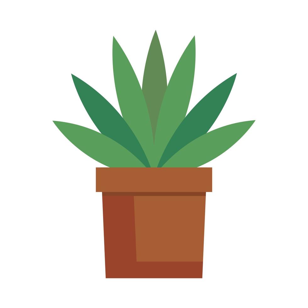 Planta en casa icono aislado de maceta vector