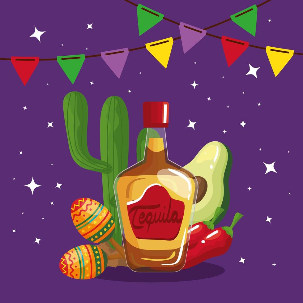 Mexican tequila bottle maracas cactus avocado and chillis vector design