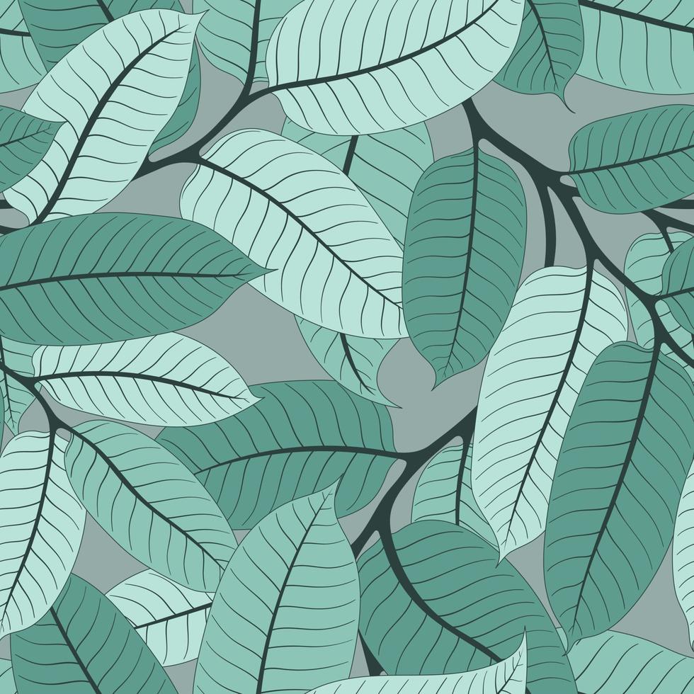 GREY SEAMLESS BACKGROUND WITH MINT NUTMEG BRANCHES vector