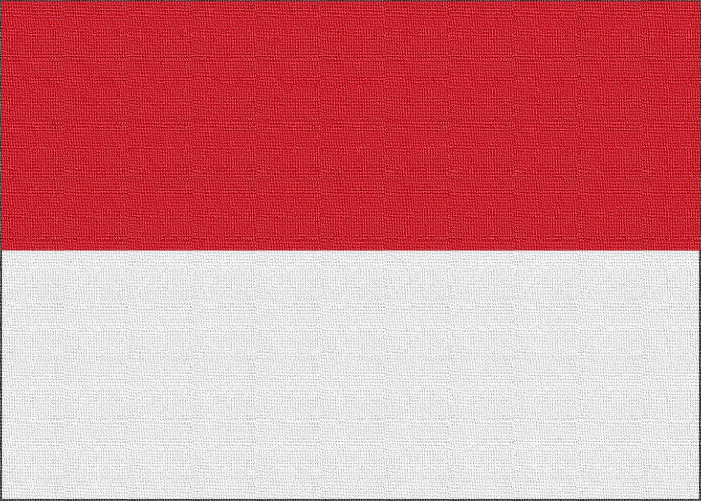 Illustration of the national flag of Indonesia photo