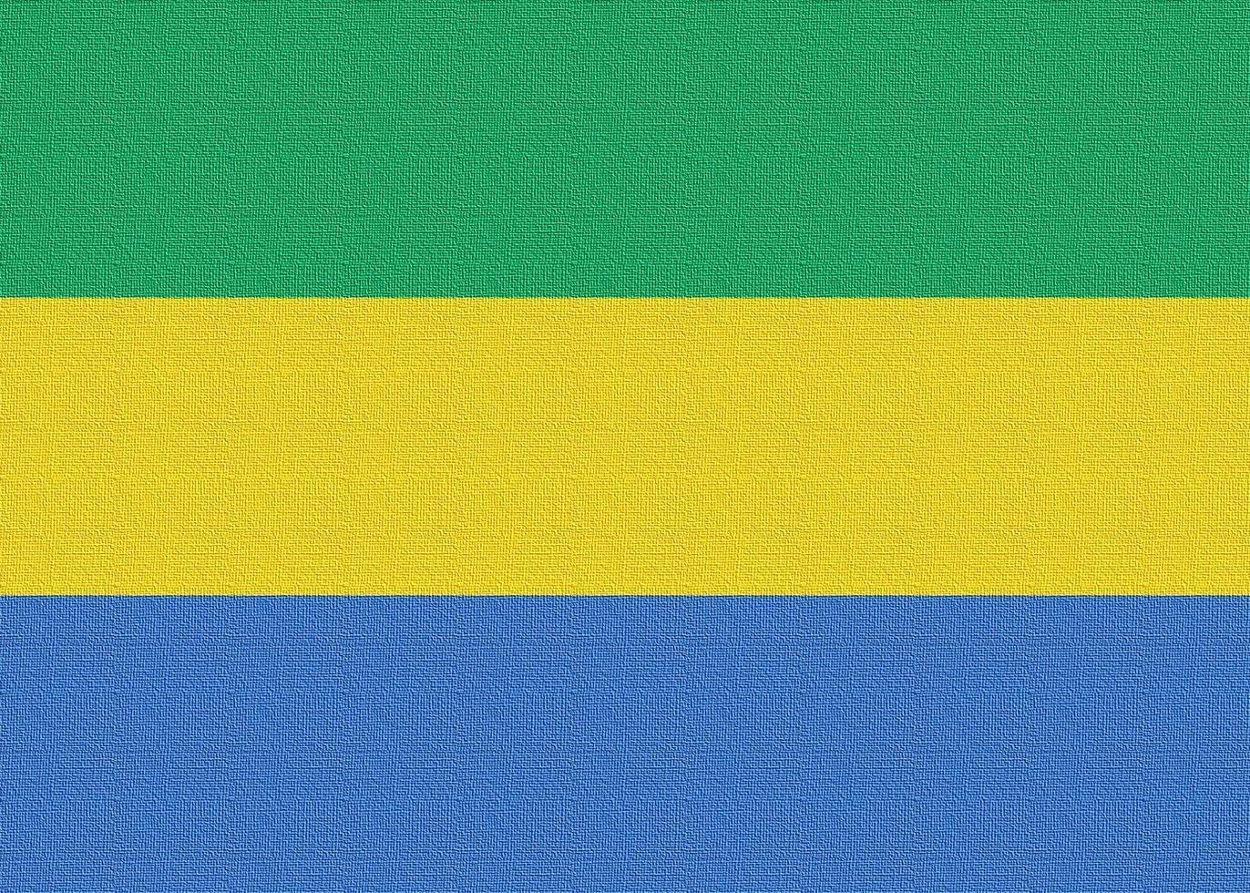 Illustration of the national flag of Gabon photo