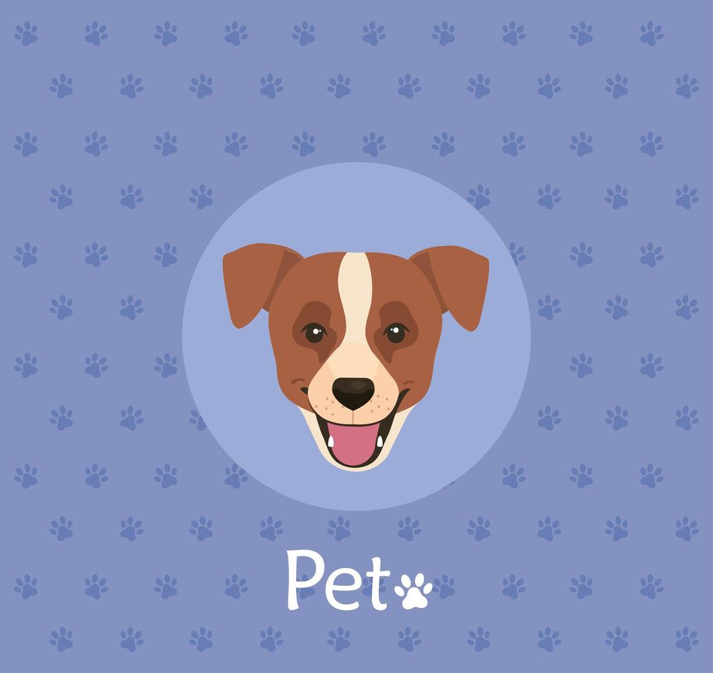 face of brown dog with white spot in background with pawprints vector