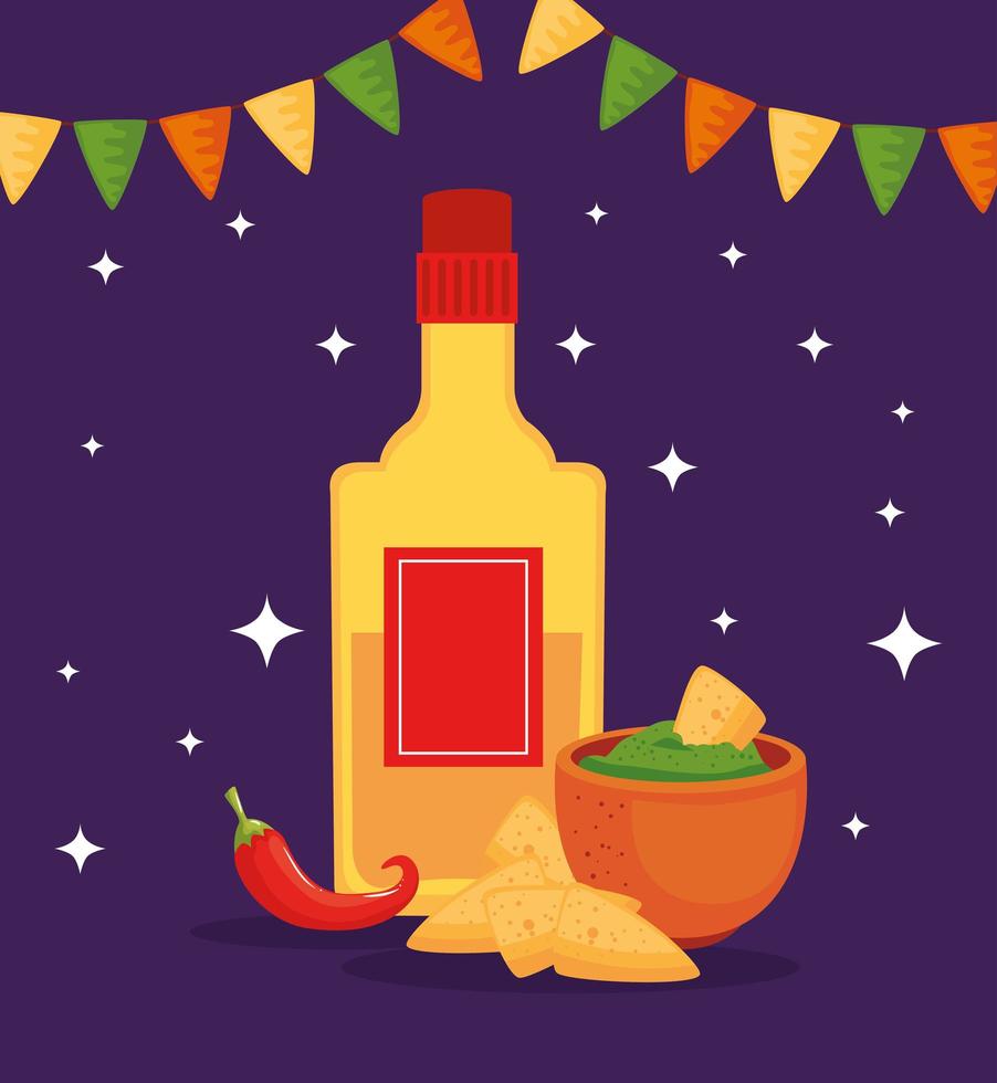 Mexican tequila bottle bowl nachos and chilli vector design