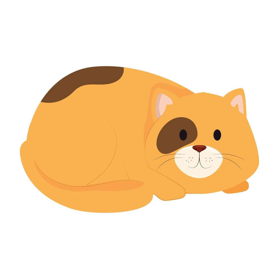 cute little cat animal icon vector